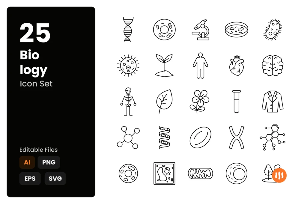 pwf potofolio